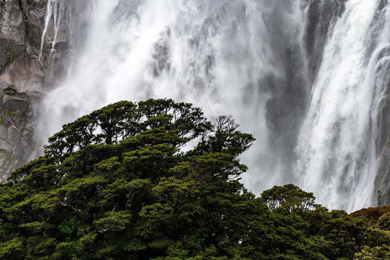 Discovering the Hidden Waterfalls of Yosemite National Park